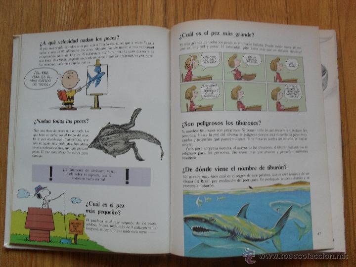 Cómics: GRAN LIBRO DE PREGUNTAS Y RESPUESTAS DE CARLITOS, Ediciones Junior Grijalbo - Foto 2 - 51956548