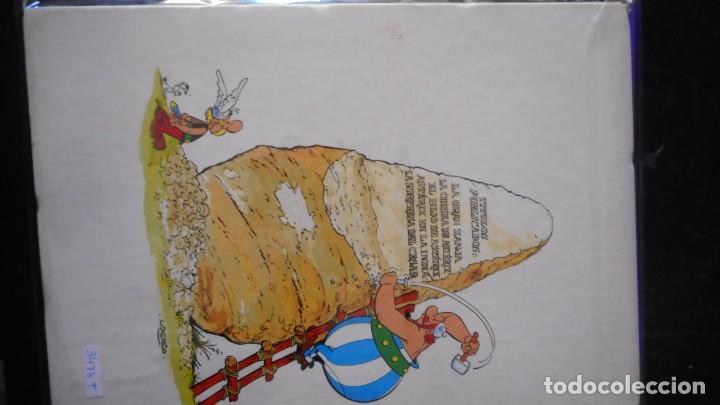 C&oacute;mics: ASTERIX Y LA SORPRESA DEL C&Eacute;SAR / C-8 - Foto 2