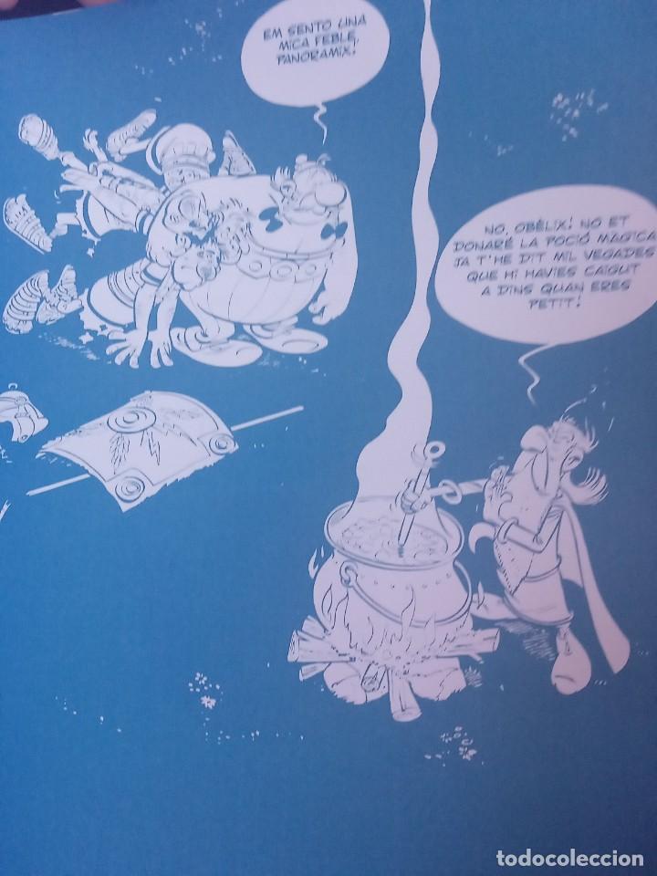 C&oacute;mics: Asterix el gal. - Foto 3