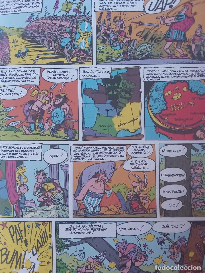 C&oacute;mics: Asterix el gal. - Foto 6