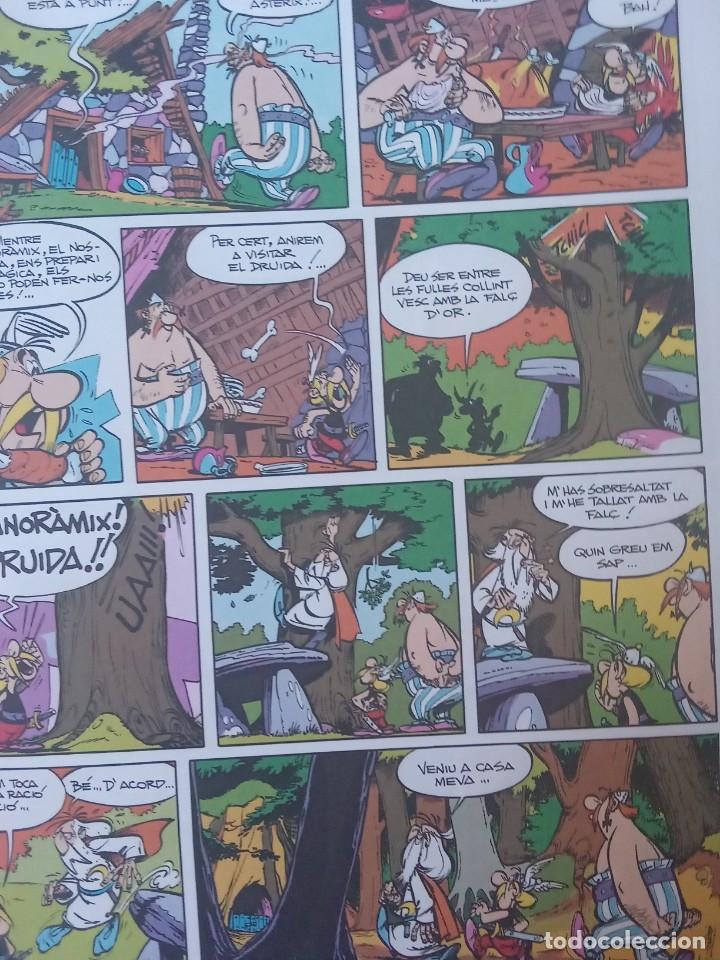 C&oacute;mics: Asterix el gal. - Foto 7