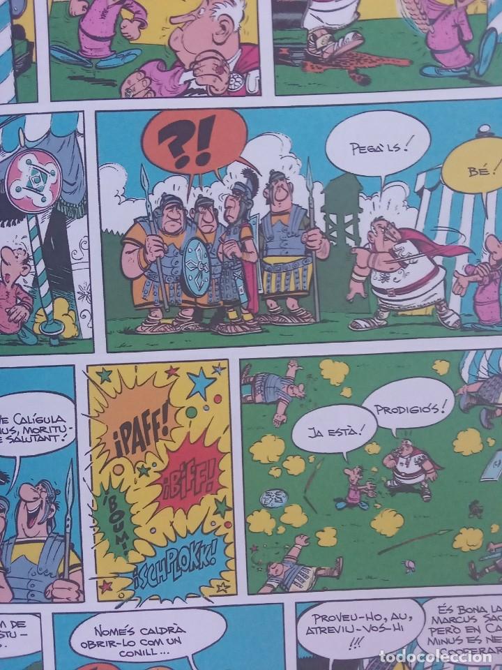 C&oacute;mics: Asterix el gal. - Foto 9