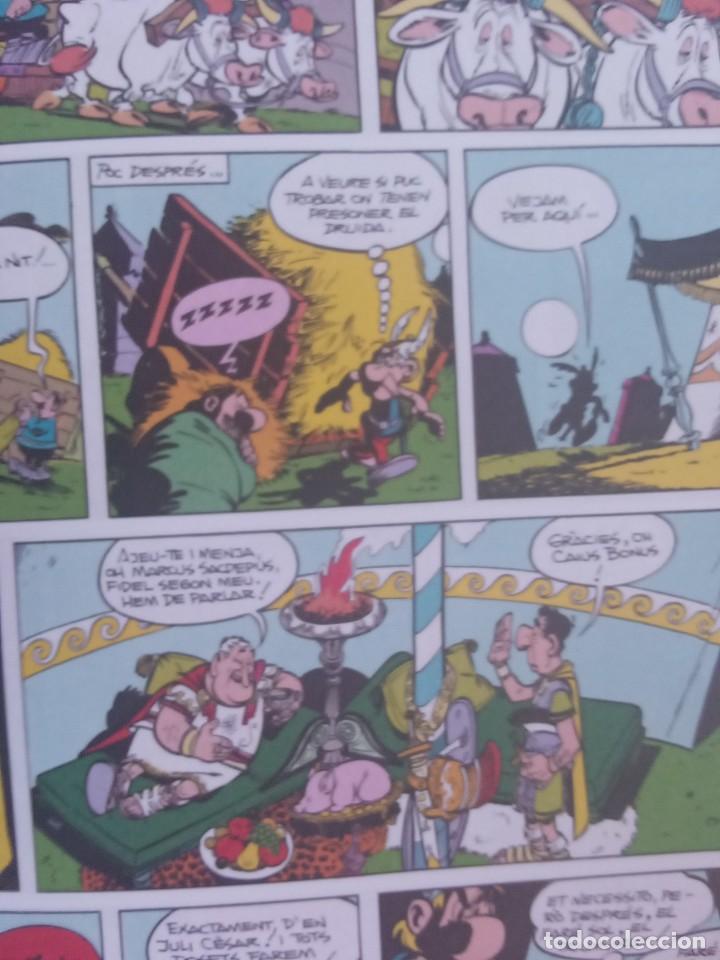 C&oacute;mics: Asterix el gal. - Foto 10