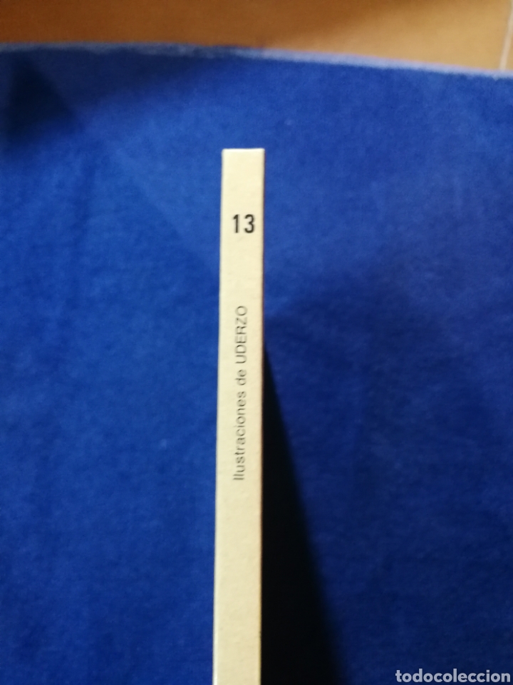 C&oacute;mics: Ast&eacute;rix y el caldero. N&uacute;mero 13 - Foto 2