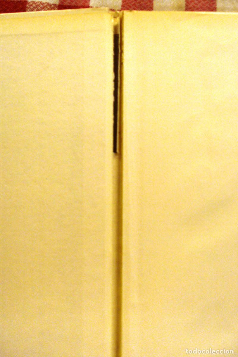 C&oacute;mics: Asterix Los laureles del Cesar comic Edit Dargaud Numero lomo 19 - Foto 4