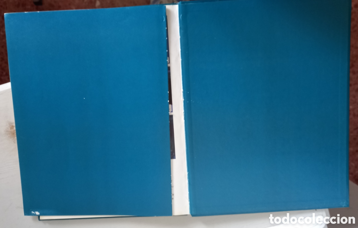 C&oacute;mics: Tartar&iacute;n de Tarasc&oacute;n, C&oacute;mic - Foto 3