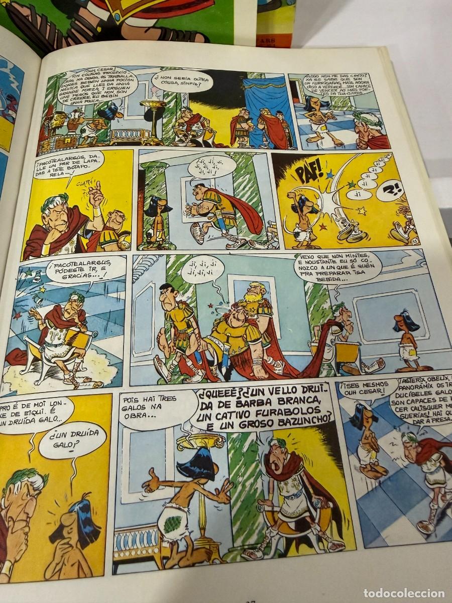 C&oacute;mics: Asterix e Cleopatra (Galego) 1976 - Foto 6
