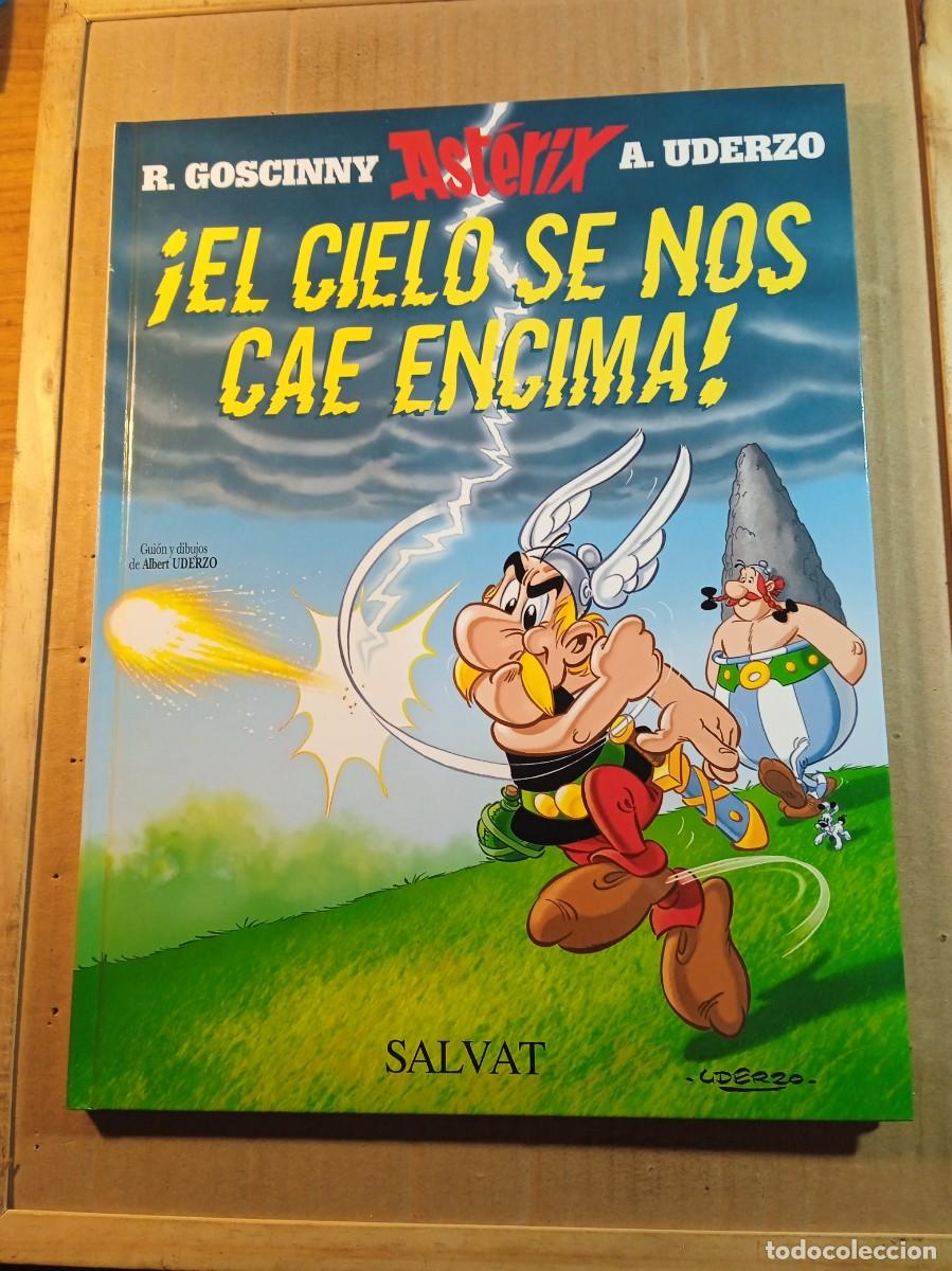C&oacute;mics: COMIC DE ASTERIX EN EL CIELO SE NOS CAE ENCIMA DEL A&Ntilde;O 2005