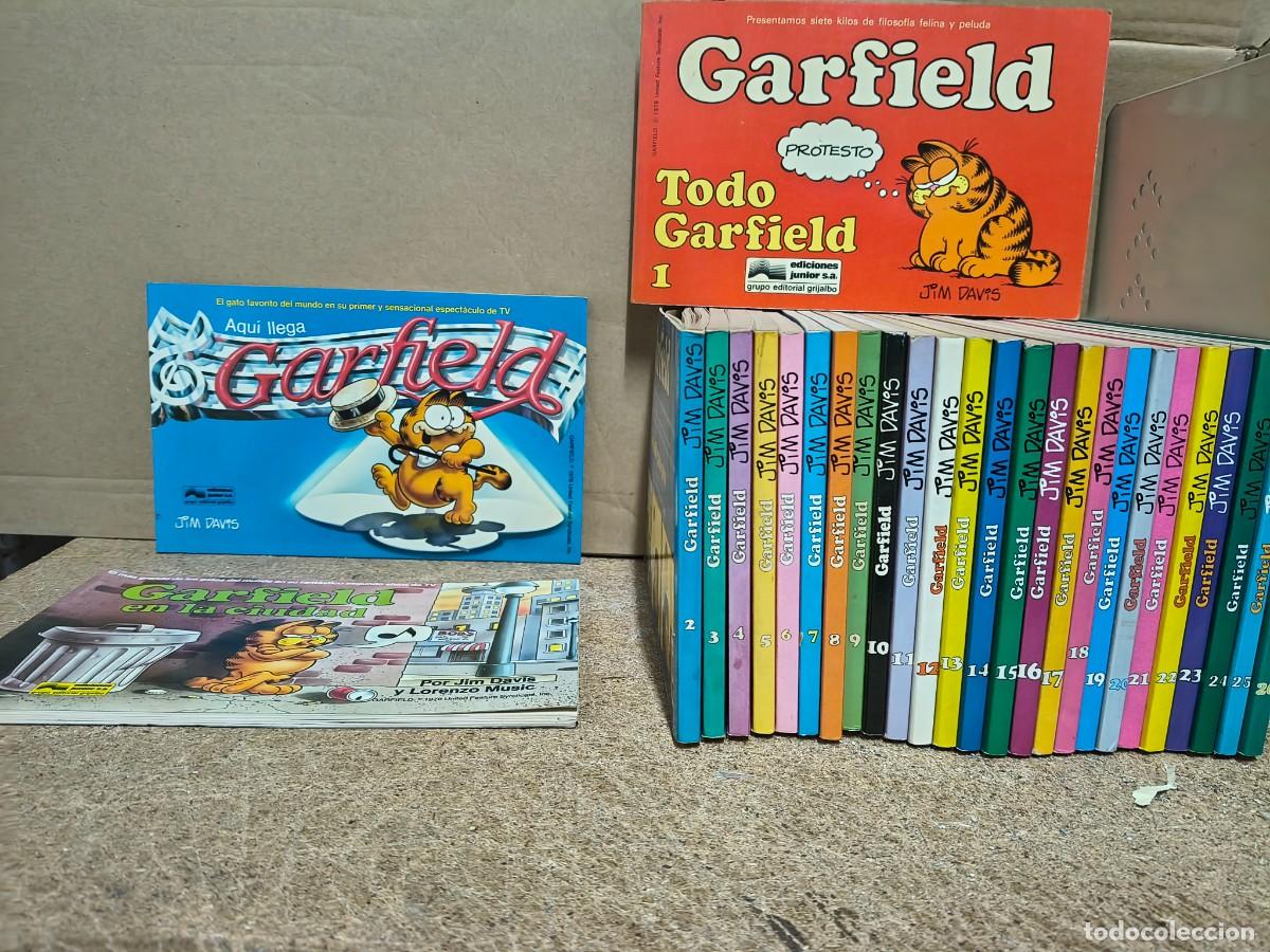 C&oacute;mics: GARFIELD - COLECCI&Oacute;N 1 al 26 + GARFIELD COLOR N&Uacute;MEROS 1 Y 2
