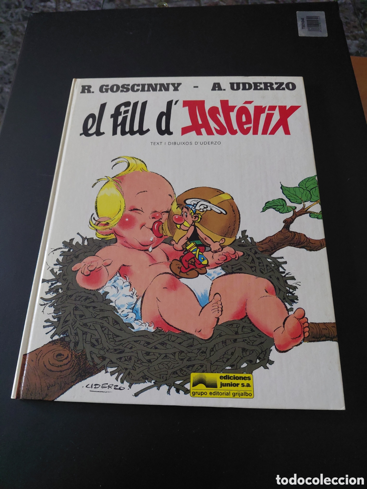 C&oacute;mics: Comic el fill d'Asterix