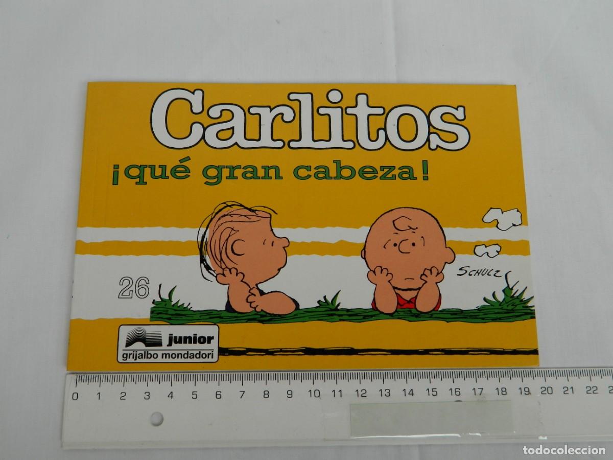 C&oacute;mics: CARLITOS- N&ordm;26 &rdquo;QUE GRAN CABEZA&rdquo; - Foto 1