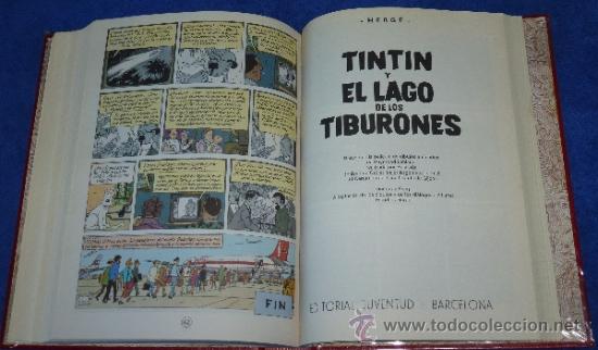 C&oacute;mics: Tintin - Editorial Juventud (1983) &iexcl;Obra Completa! - Foto 18