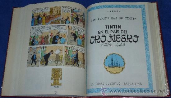 C&oacute;mics: Tintin - Editorial Juventud (1983) &iexcl;Obra Completa! - Foto 26