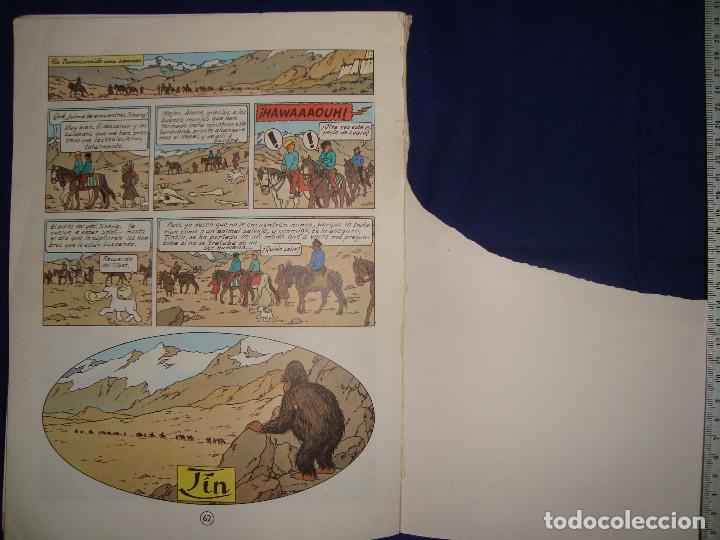 C&oacute;mics: TINT&Iacute;N EN EL T&Iacute;BET EDITORIAL JUVENTUD - Foto 7