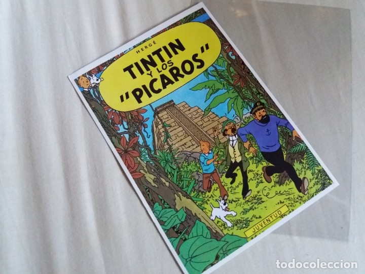 Cómics: Postal original. Editorial Juventud. 1983. Tintín y los pícaros. Con funda de plástico protectora. - Foto 6 - 178870115