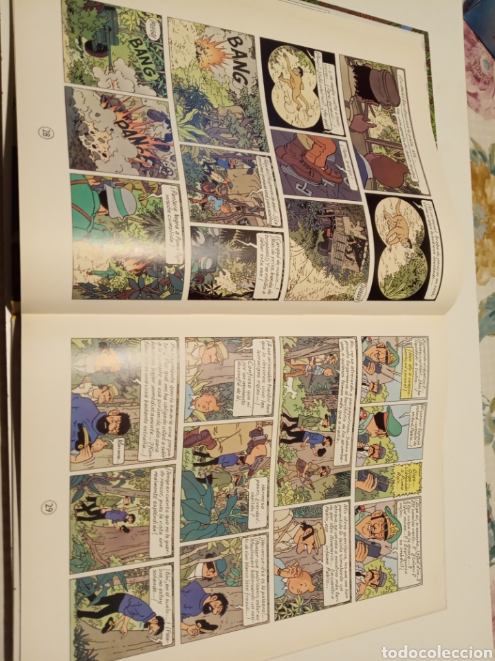 C&oacute;mics: Tint&iacute;n y los p&iacute;caros - Foto 6