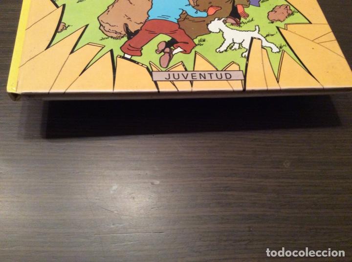 C&oacute;mics: TINT&Iacute;N EL ASUNTO TORNASOL D&Eacute;CIMO TERCERA EDICI&Oacute;N - Foto 3