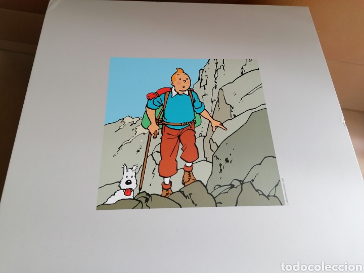 Cómics: Figura TINTIN alpinista -Objetivo: La Luna- (2020) - Foto 12 - 303405418