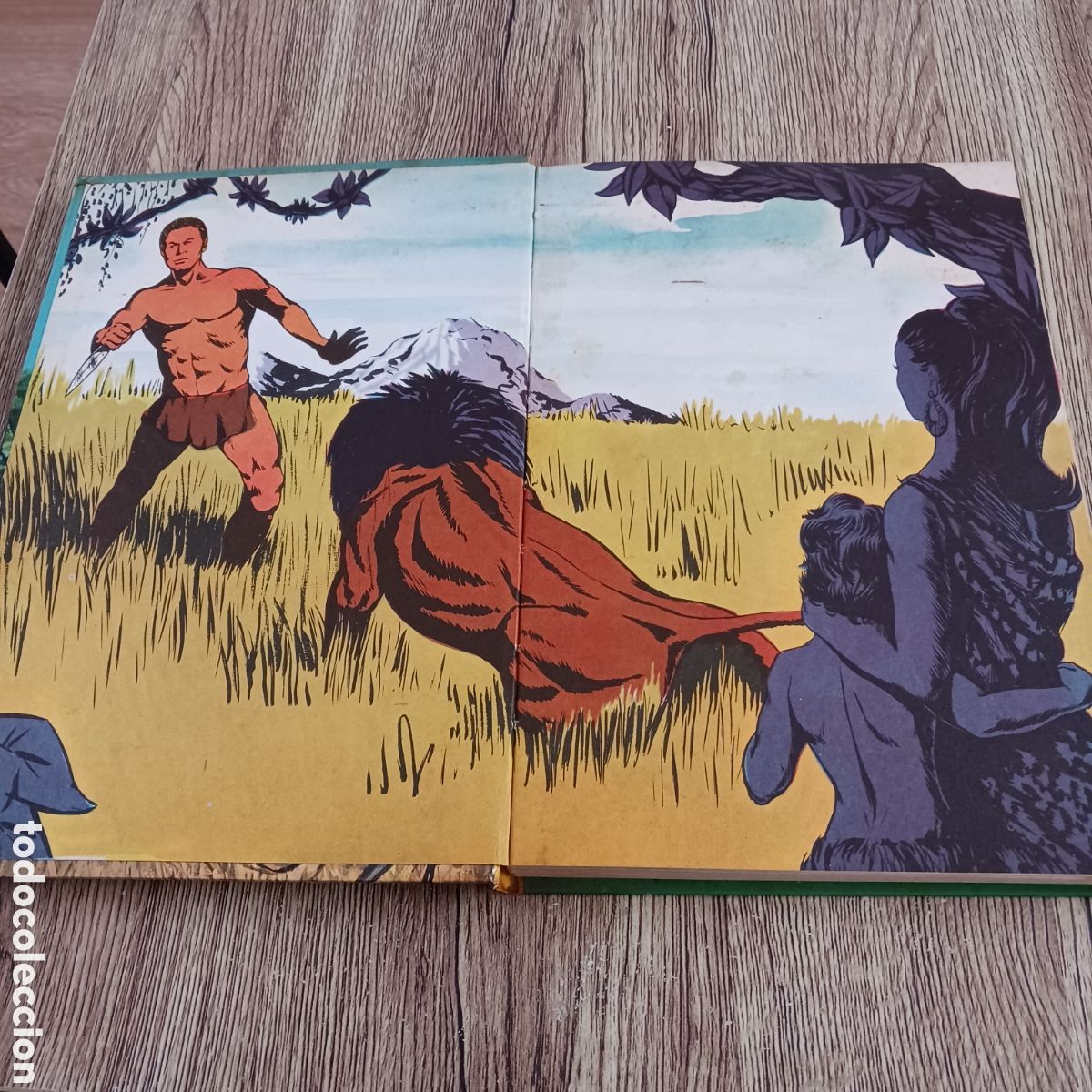 C&oacute;mics: Tarzan de Edgar Rice Burroughs - Foto 2