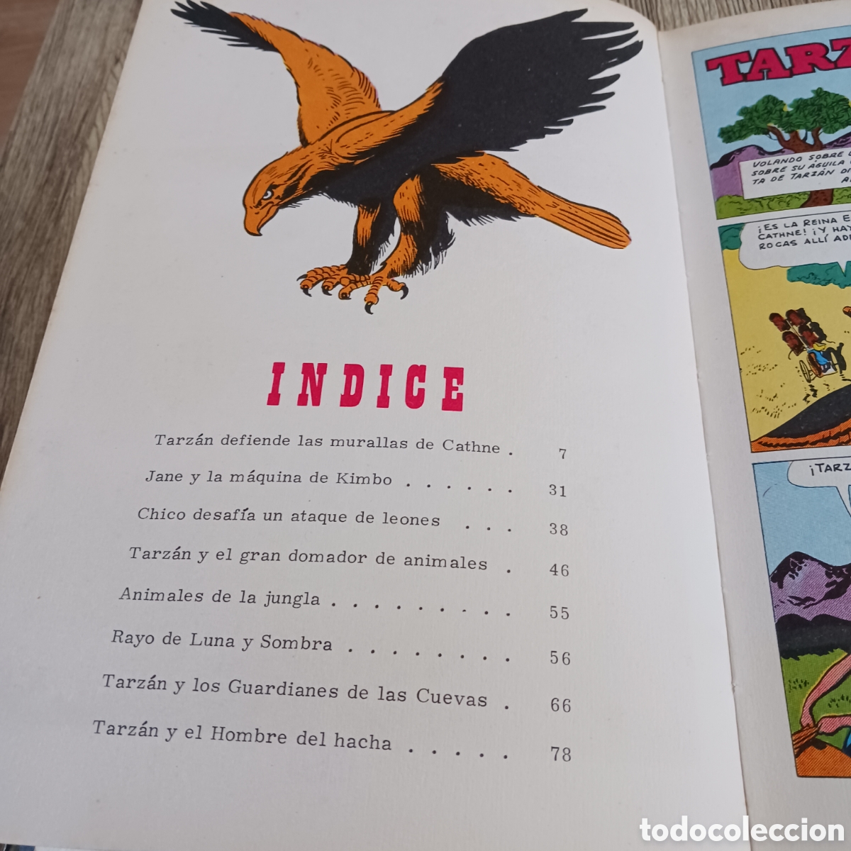 C&oacute;mics: Tarzan de Edgar Rice Burroughs - Foto 3
