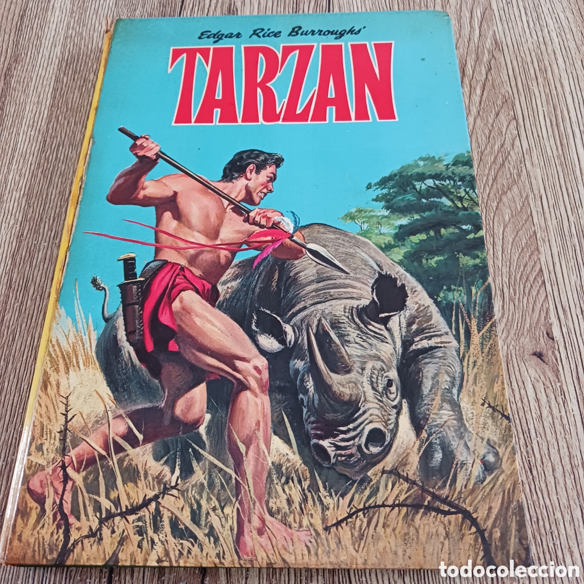 C&oacute;mics: Tarzan de Edgar Rice Burroughs - Foto 1