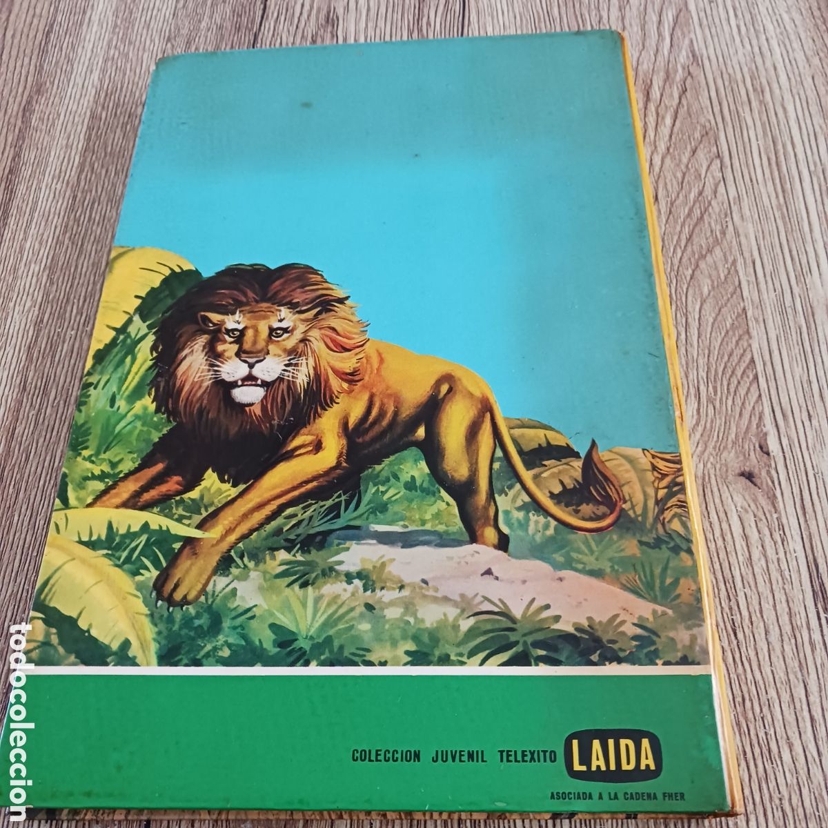 C&oacute;mics: Tarzan de Edgar Rice Burroughs - Foto 9