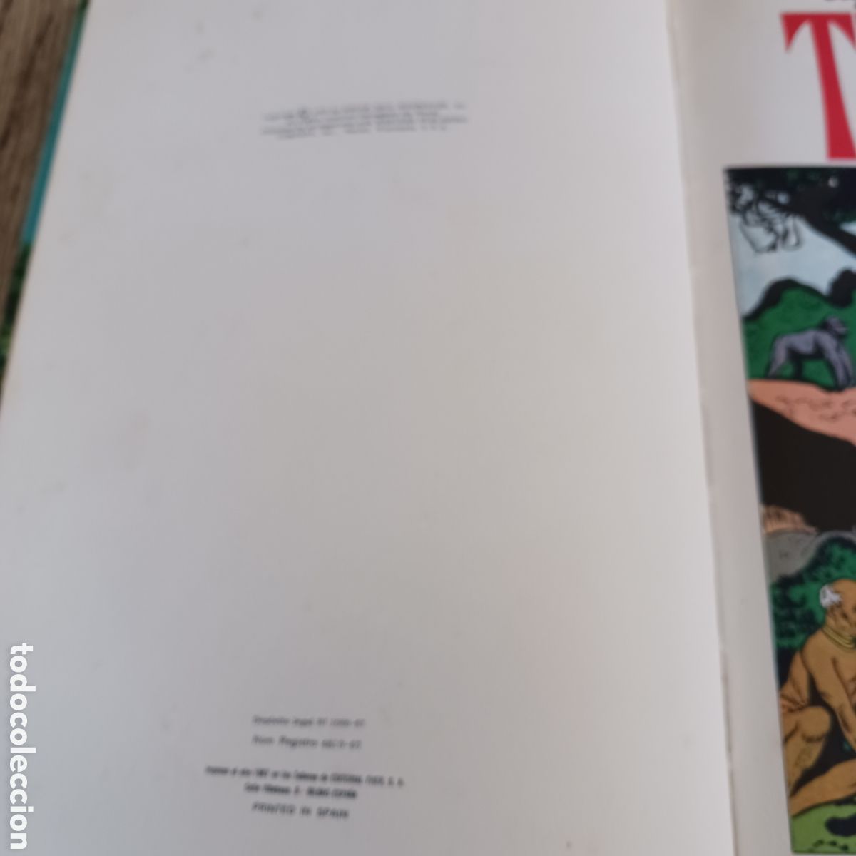 C&oacute;mics: Tarzan de Edgar Rice Burroughs - Foto 4