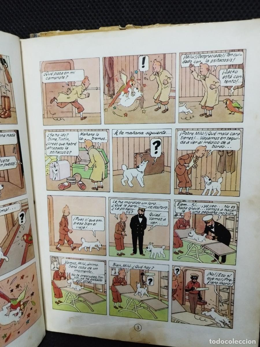 C&oacute;mics: TINTIN EN EL CONGO. PRIMERA EDICI&Oacute;N - Foto 3