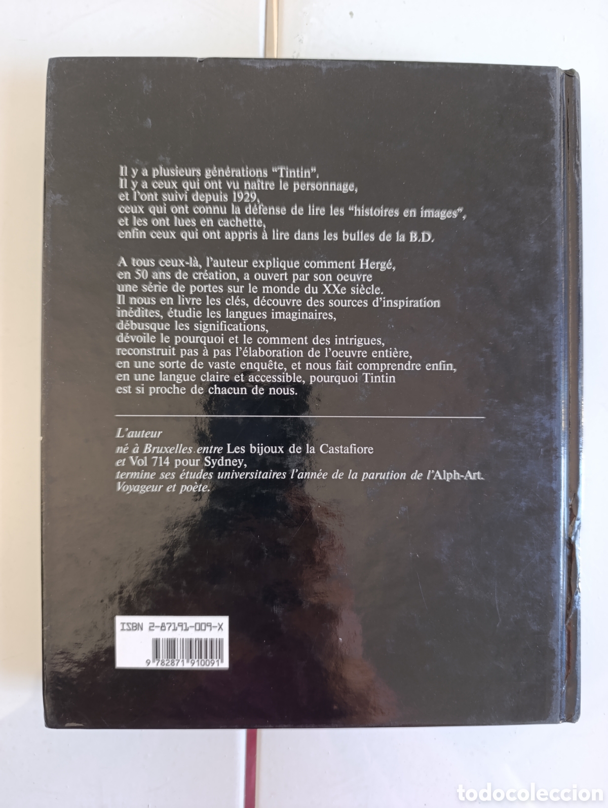C&oacute;mics: DOSSIER TINTIN FREDERIC SOUMOIS - SOURCES VERSIONS THEMES STRUCTURES - Foto 2