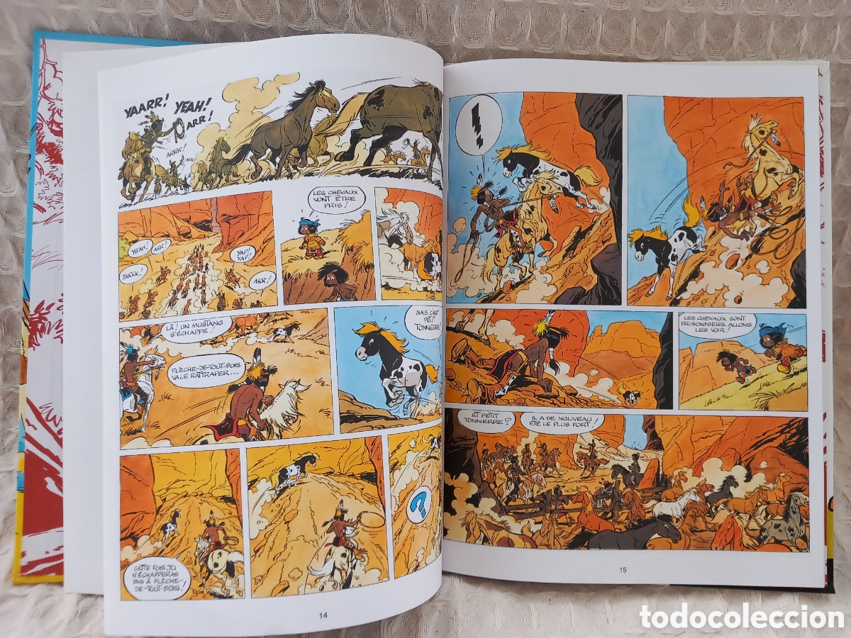 C&oacute;mics: Yakari et le grand aigle. - Foto 4