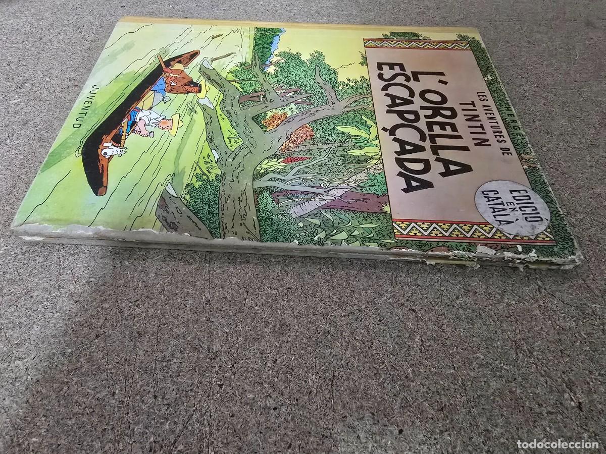 C&oacute;mics: Tintin L&acute;Orella Escap&ccedil;ada.Juventud.Primera Edicio 1965 - Foto 3