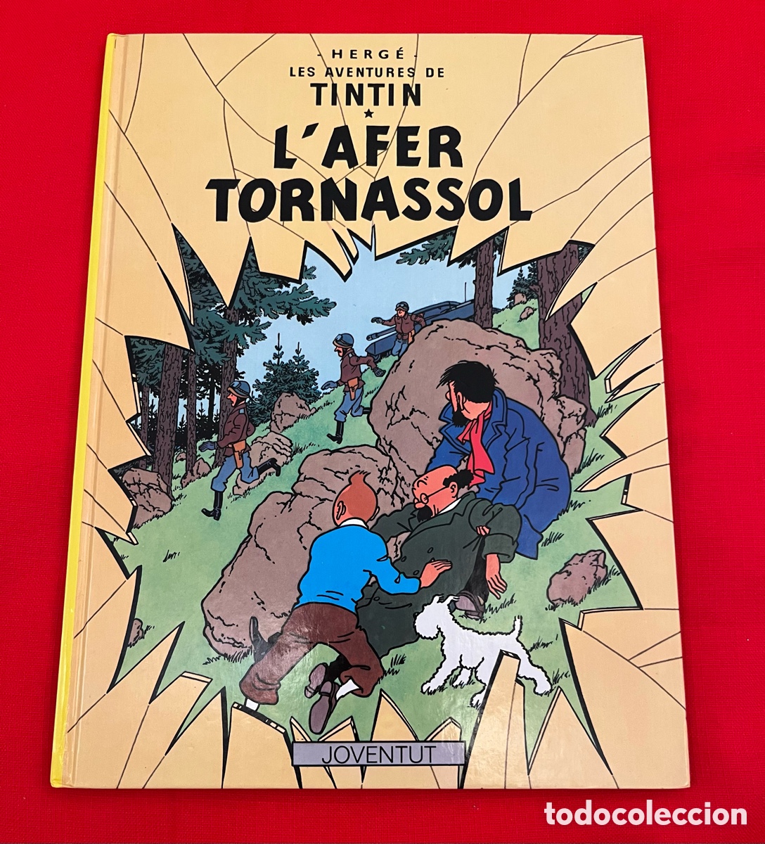 C&oacute;mics: C&oacute;mic Tint&iacute;n - L&rsquo;Afer Tornassol (en catal&aacute;n)