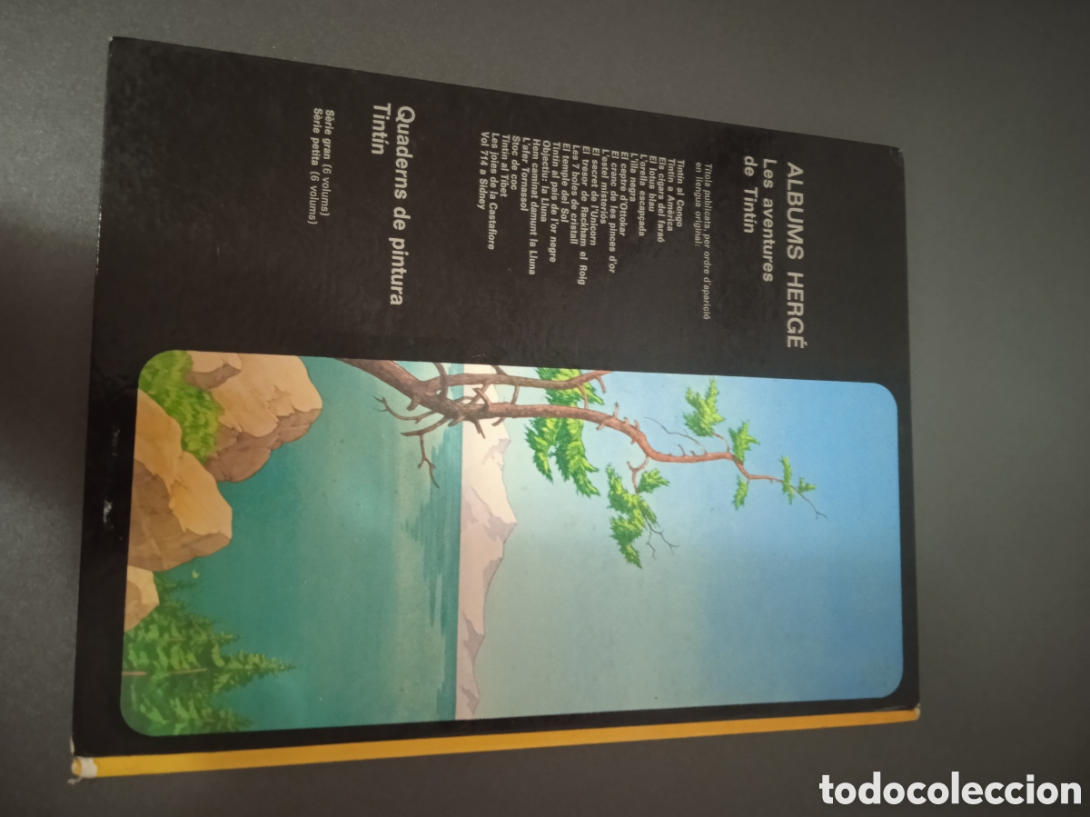 C&oacute;mics: Tint&iacute;n i el llac dels taurons - Foto 19