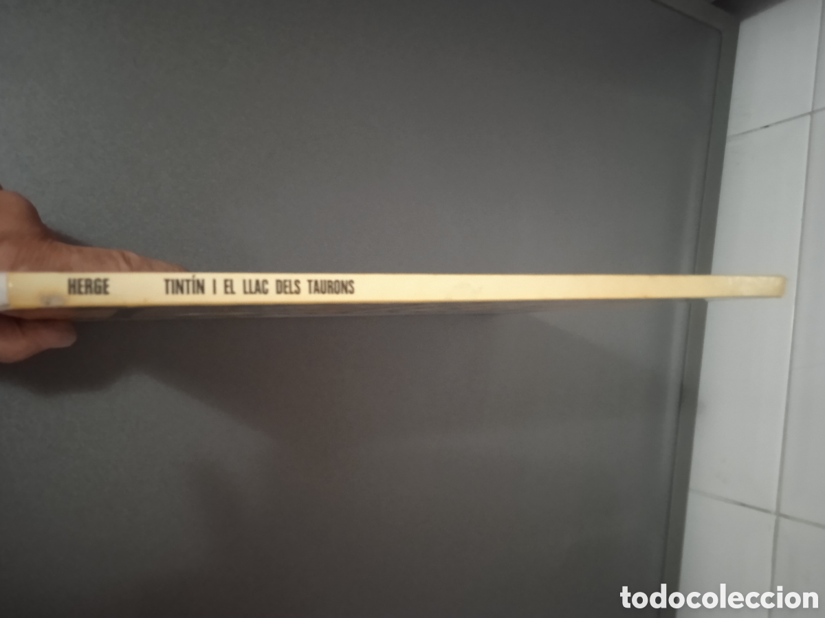 C&oacute;mics: Tint&iacute;n i el llac dels taurons - Foto 20