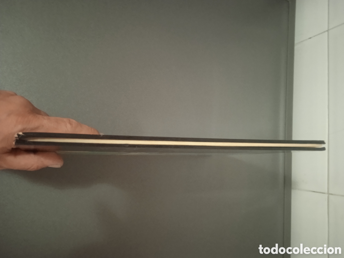 C&oacute;mics: Tint&iacute;n i el llac dels taurons - Foto 21