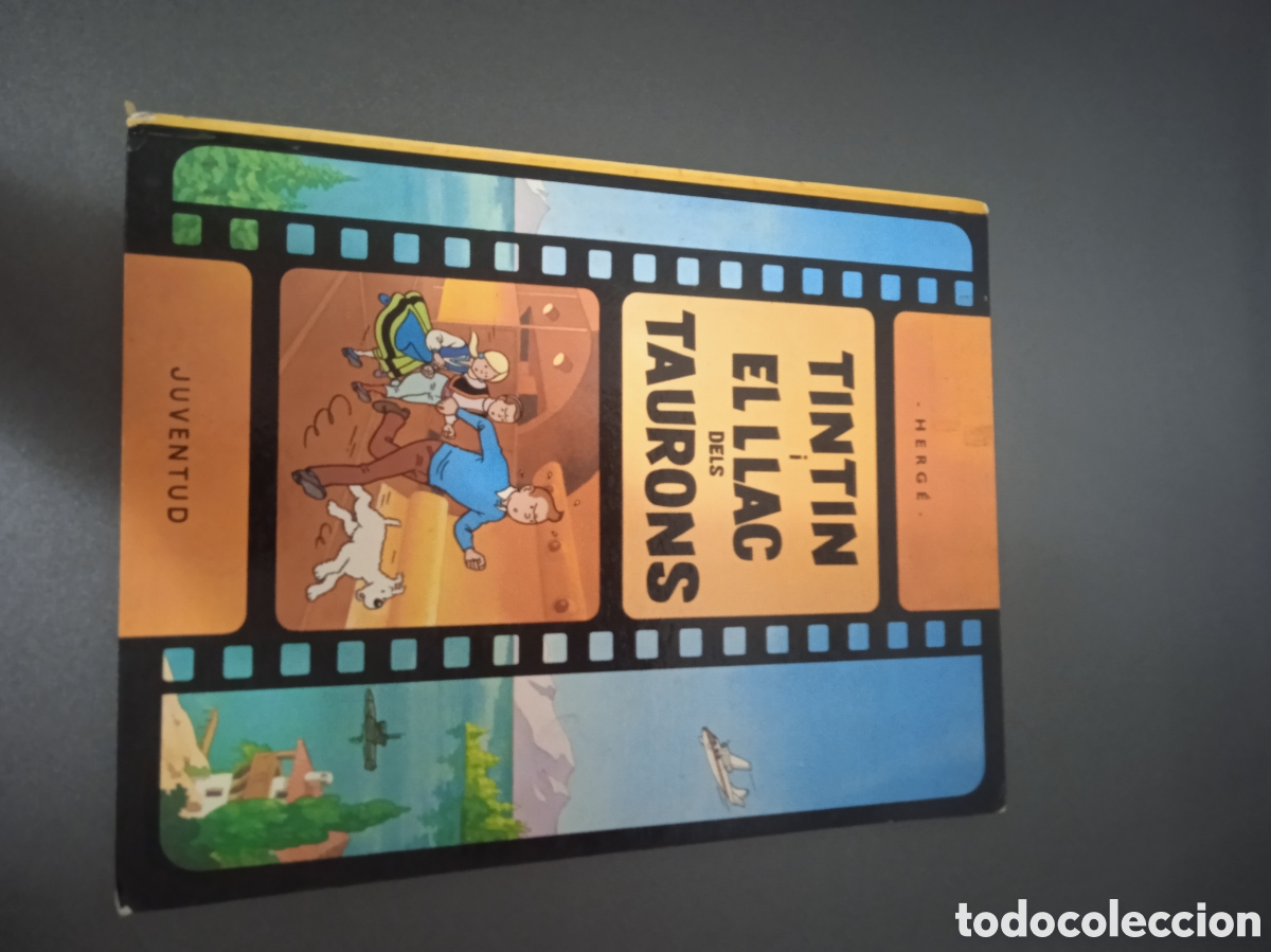 C&oacute;mics: Tint&iacute;n i el llac dels taurons