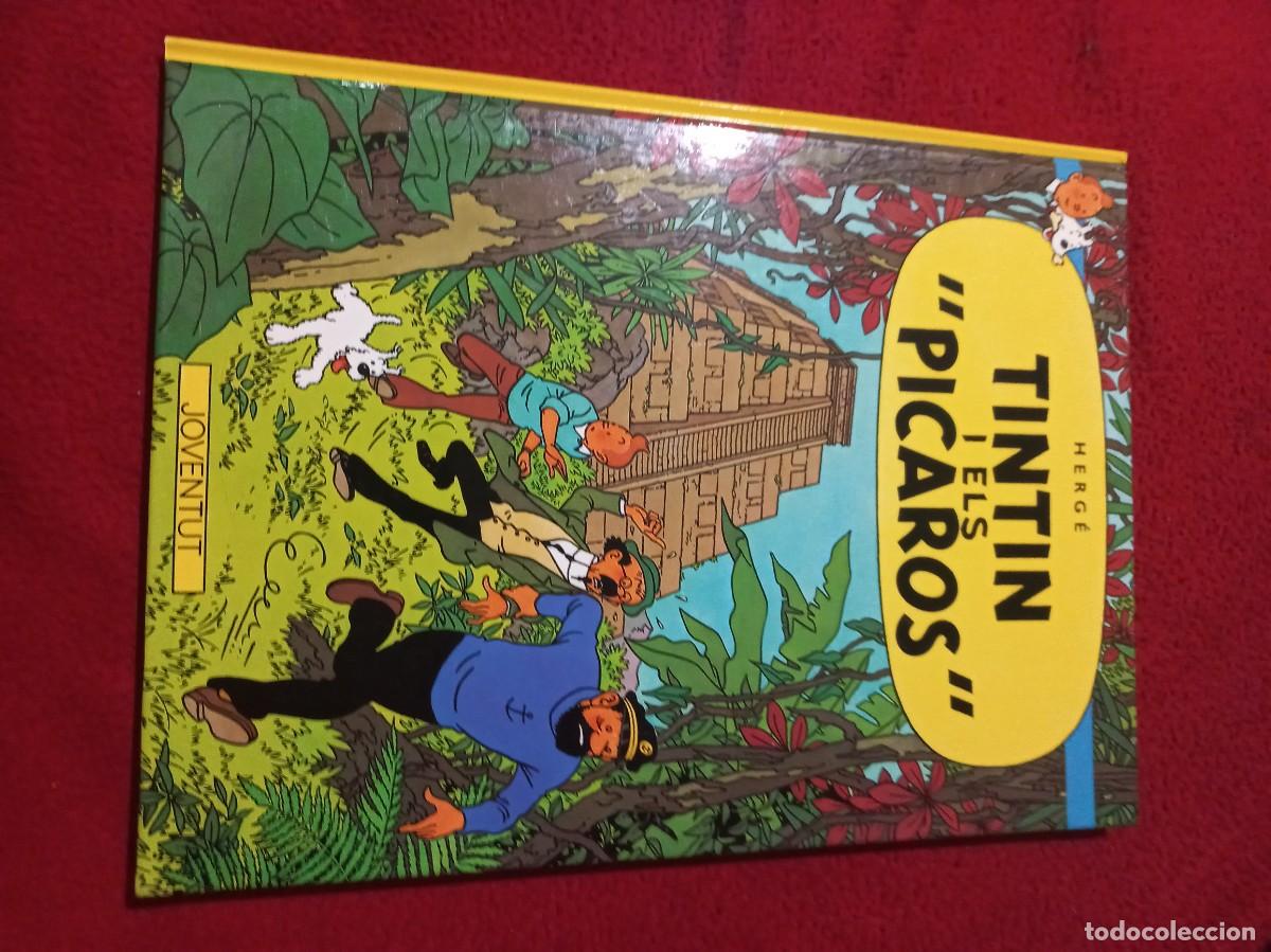 C&oacute;mics: TINTIN - TINTIN I ELS PICAROS - HERGE - CARTONE - EN CATALAN