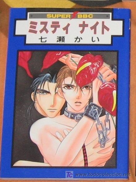 Comics: MISTER NIGHT YAOI GAY MANGA ANIME SHOJO JUPI vpa