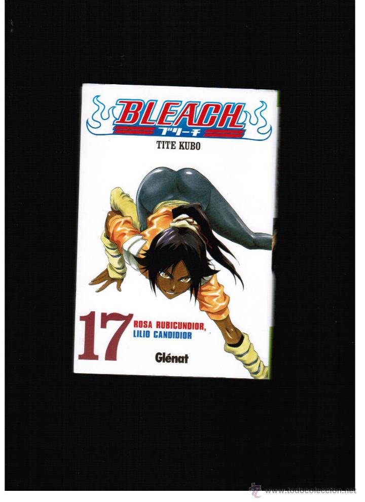 C&oacute;mics: BLEACH N&ordm; 17 - TITE KUBO - EDICIONES GL&Eacute;NAT - Foto 1