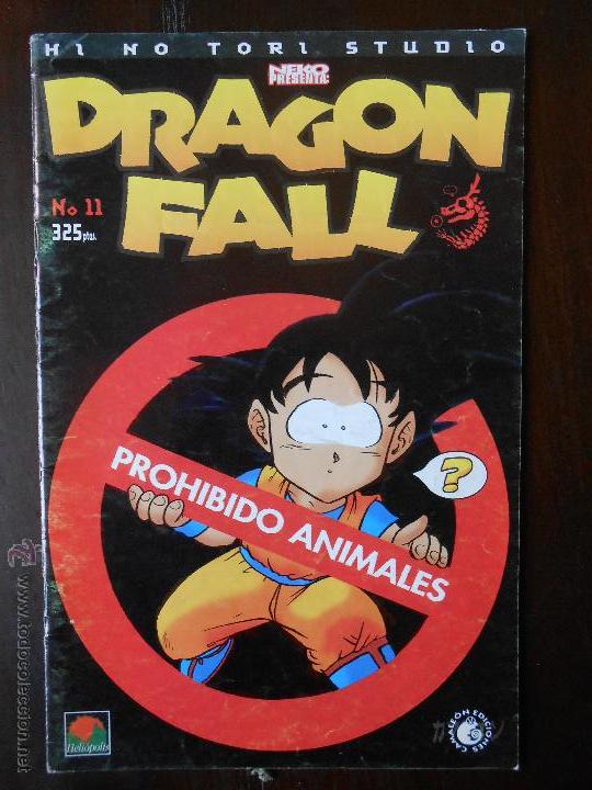C&oacute;mics: DRAGON FALL - N&ordm; 11 - HI NO TORI STUDIO (D1) - Foto 1