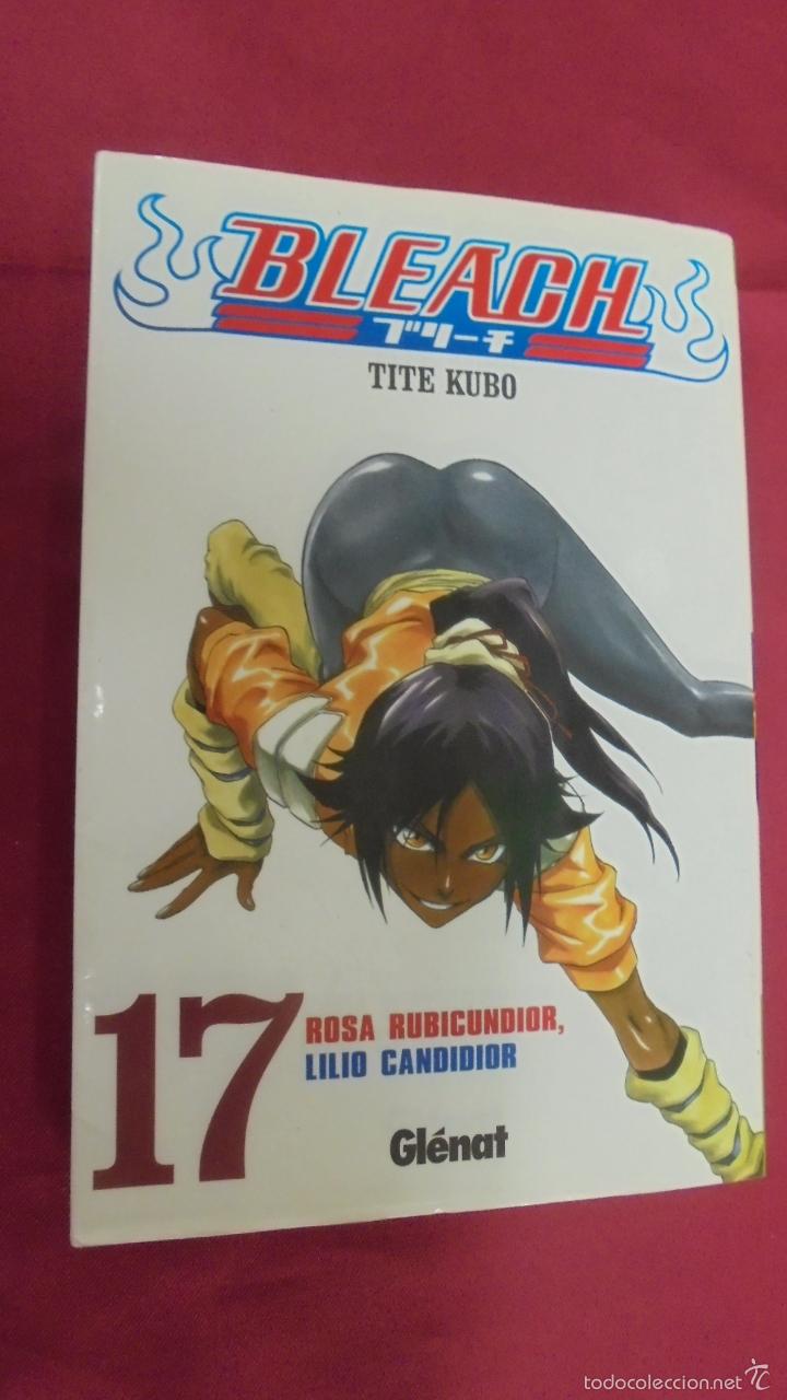 C&oacute;mics: BLEACH. N&ordm; 17. TITE KUBO. GL&Eacute;NAT - Foto 1