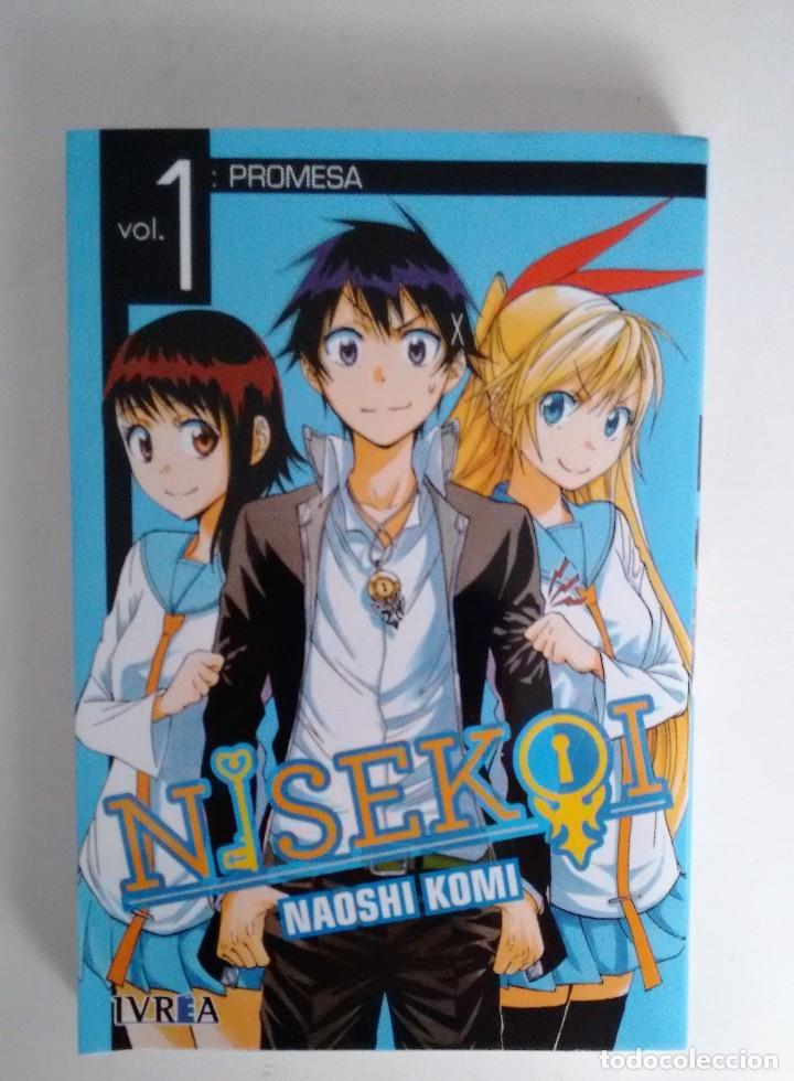 Comics: Cl&aacute;sicos del manga, Nisekoi volumen 1