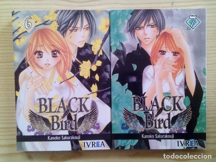 C&oacute;mics: Manga Black Bird - Numero 7 - Ibrea - Foto 1
