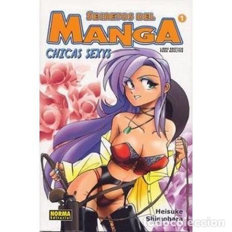 Comics : SECRETOS DEL MANGA 1 - CHICAS SEXY - HEISUKE SHIMOHARA