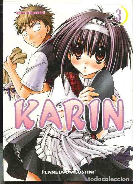 C&oacute;mics: KARIN  N&ordm; 3 , PLANETA DE AGOSTINI - Foto 1