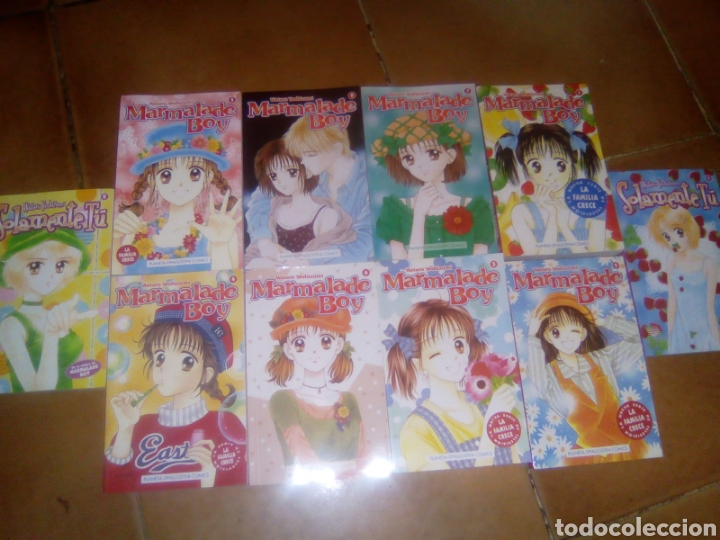 C&oacute;mics: Marmalade boy - Foto 1
