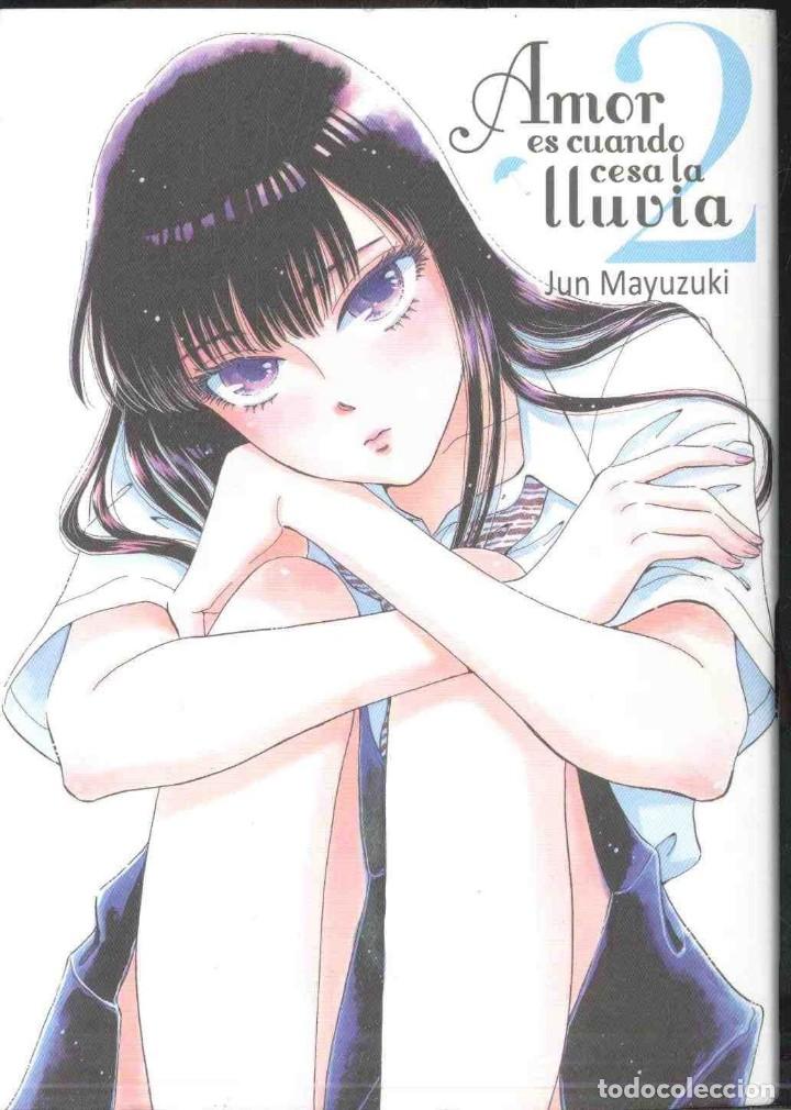 C&oacute;mics: AMOR ES CUANDO CESA LA LLUVIA  N&ordm; 1 y 2 , EDICIONES TOMODOMO - Foto 2