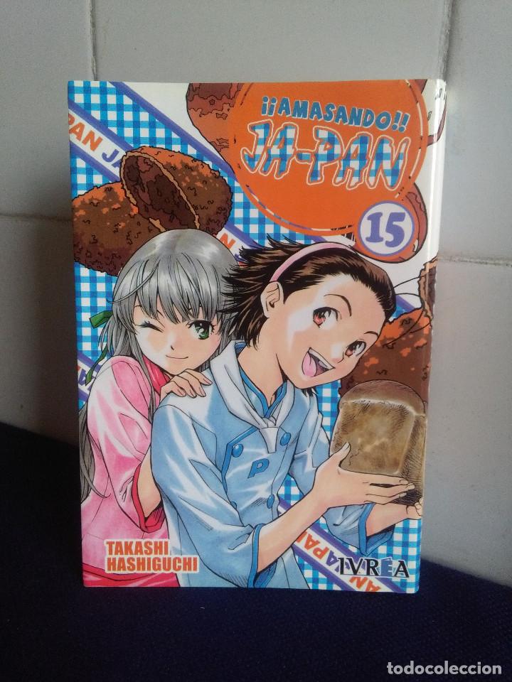 Comics: COMIC MANGA, AMASANDO JA-PAN N&ordm; 15 - TAKASHI HASHIGUCNI &ndash; PERFECTO ESTADO