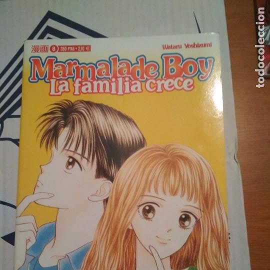 marmalade boy - la familia crece nº 13 (de 23), - Compra venta en  todocoleccion