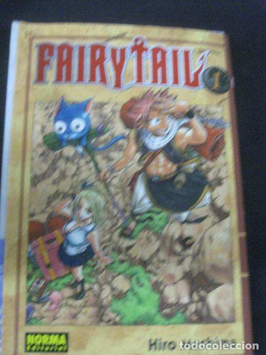 C&oacute;mics: FAIRY TAIL. N&ordm; 1.HIRO MASHIMA. NORMA EDITORIAL 2016 - Foto 1